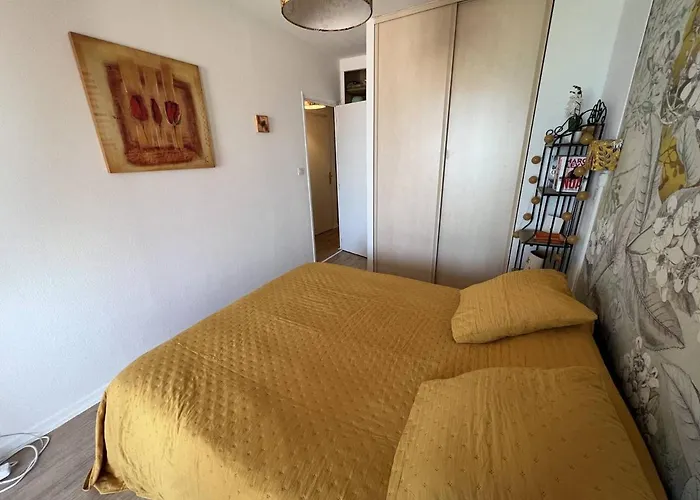 T3 Avec Terrasse Et Vue Mer, Parking, Wi-fi - 6 Personnes - Fr-1-81-590 Le Barcares